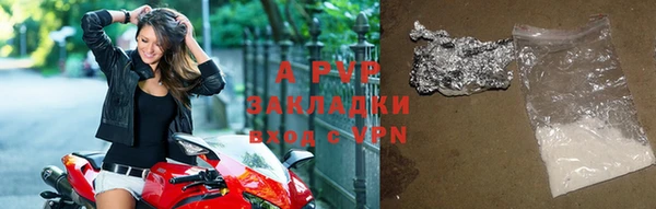 гидра Богородицк
