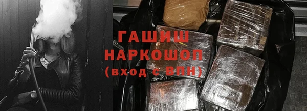 гидра Богородицк