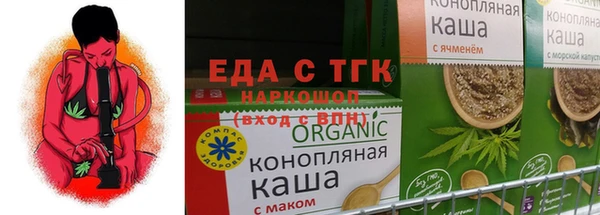 гидра Богородицк