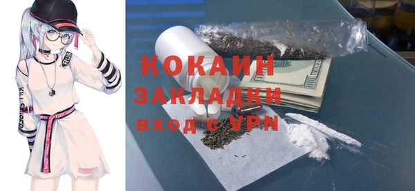 гидра Богородицк
