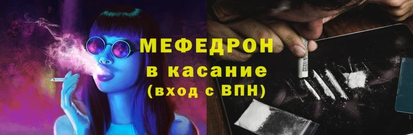 гидра Богородицк
