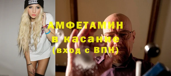 гидра Богородицк