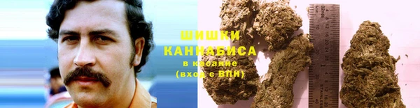 хмурый Богородск
