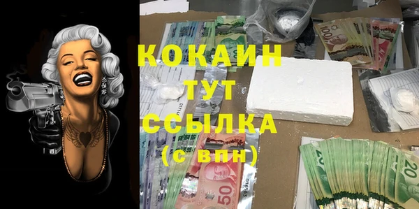 МДПВ Богданович