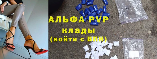 гидра Богородицк