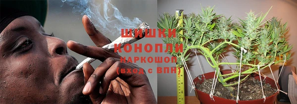 хмурый Богородск