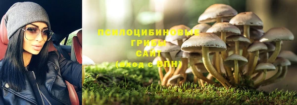 МДПВ Богданович