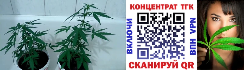 Дистиллят ТГК жижа  Шилка 