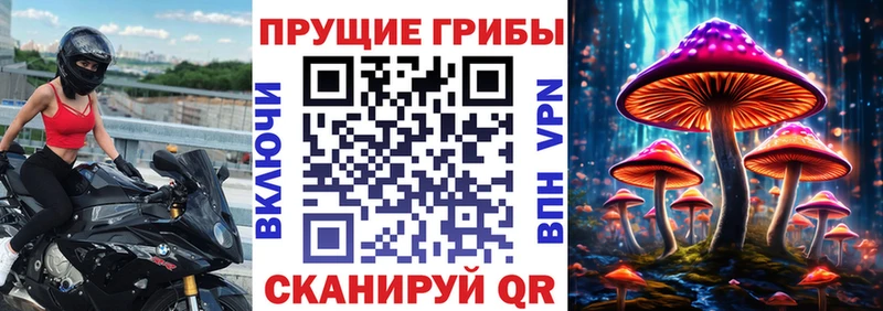 Псилоцибиновые грибы мицелий  OMG зеркало  Шилка 
