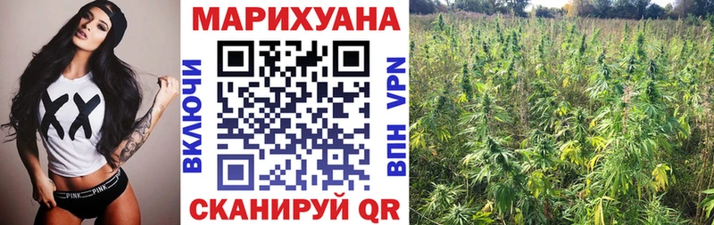 МАРИХУАНА план  Шилка 